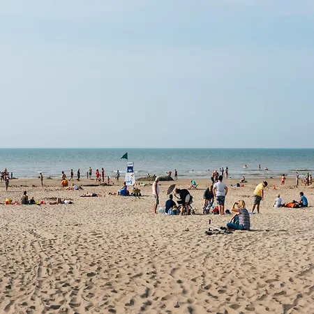 Near Sea With Bbq And Play Attic, Cleaning Included Villa Koksijde